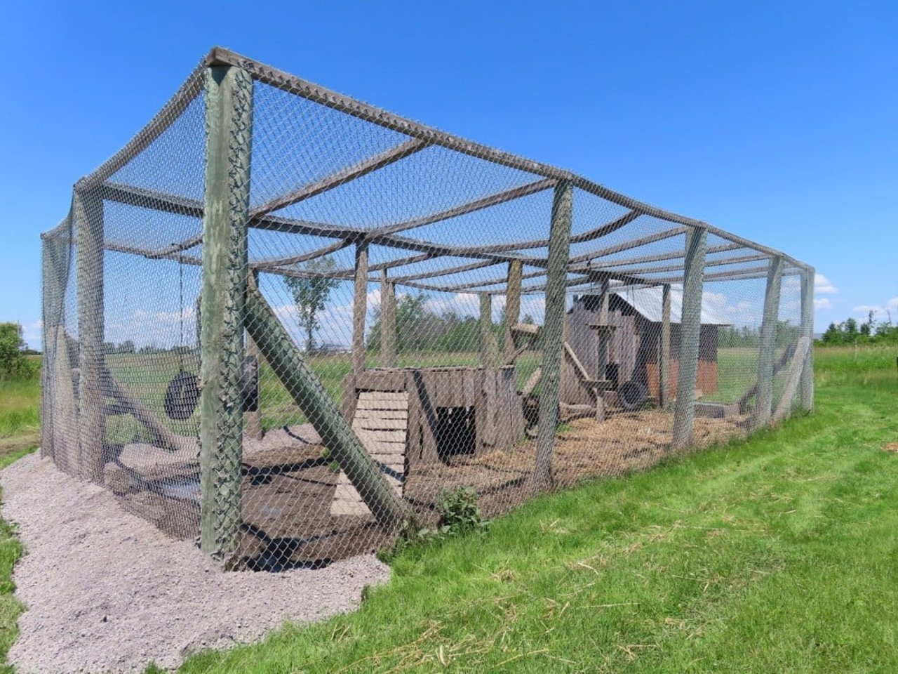 Inhumane conditions at roadside zoos | [site:name]