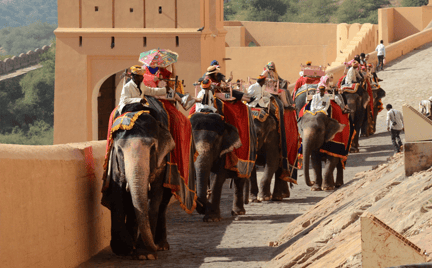 Elephants at Amer Fort, sadly dressed up and giving rides to tourists up the fort.