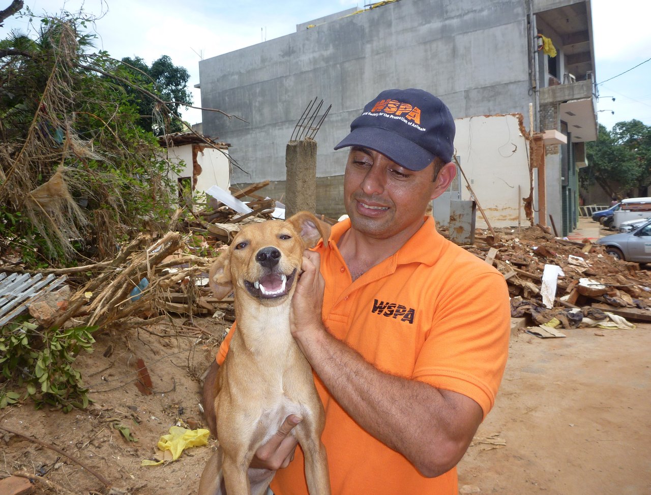 World Animal Protection staff holding a dog