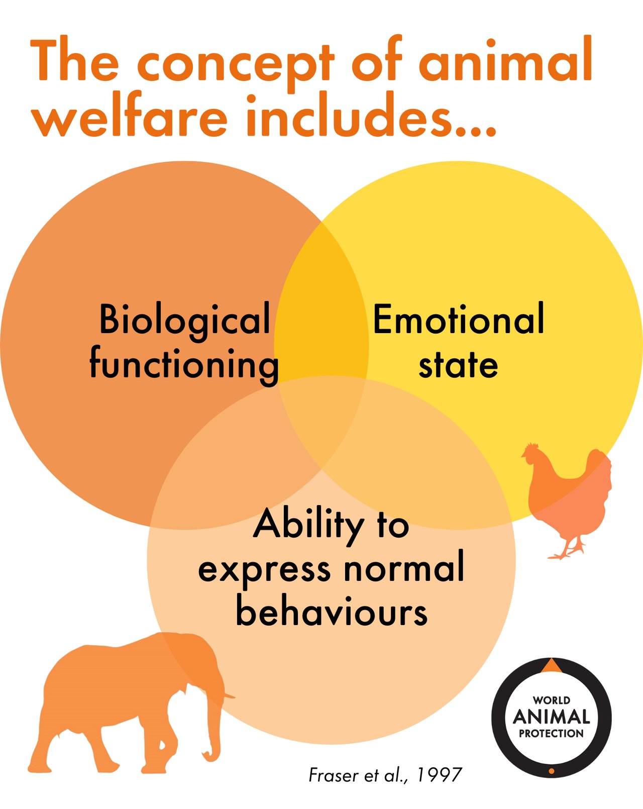 What is animal welfare? | World Animal Protection