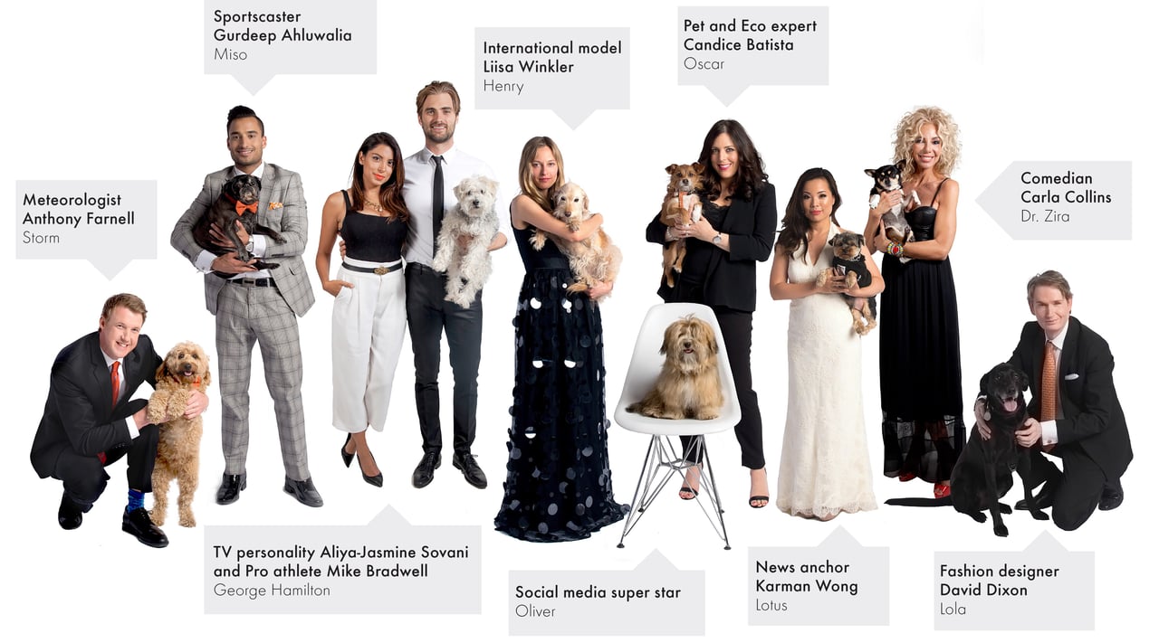 Celebrity ambassadors who supported our legacy Better Lives for Dogs campaign