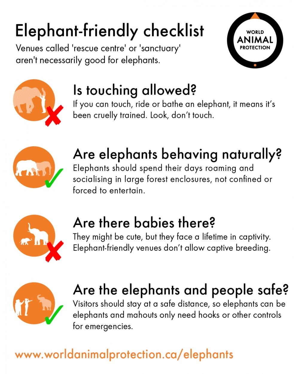 A checklist infographic on how to be an elephant friendly traveler