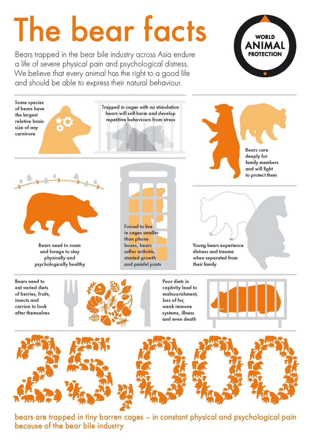 An infographic about bear bile