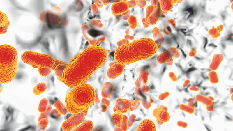 An illustrative representation of antibiotic resistant bacteria